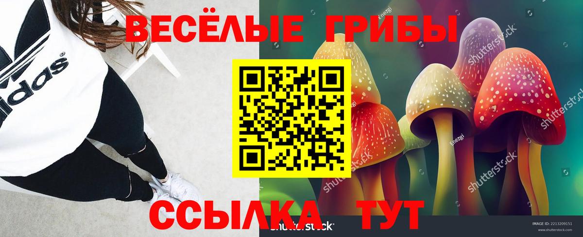 сколько стоит  Галлюциногенные грибы мухоморы  Вход с VPN  Черняховск 
